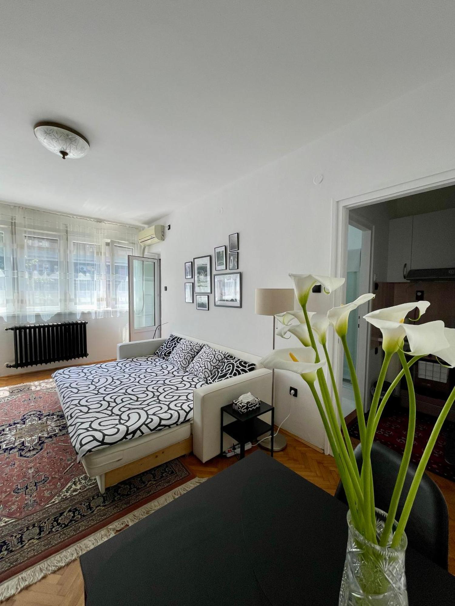 Apartment Mirochka Belgrado Esterno foto